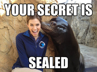 Crazy Secret