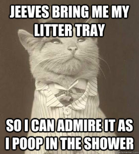 Aristocat