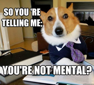 Lawyer Dog