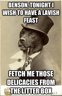 Old Money Dog