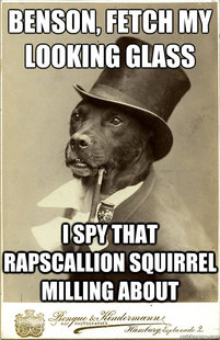 Old Money Dog