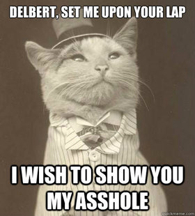 Aristocat