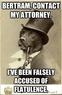 Old Money Dog