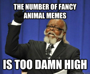 Too Damn High