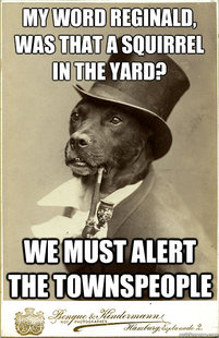Old Money Dog