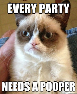 Grumpy Cat