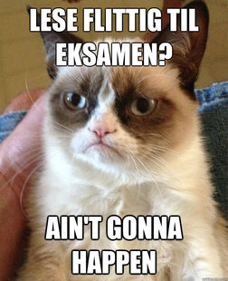 Grumpy cat
