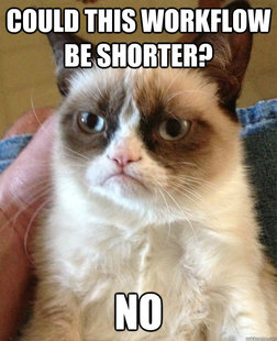 Grumpy cat