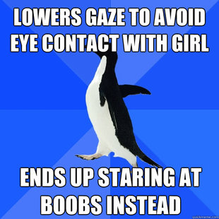 Socially Awkward Penguin