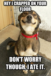 Good Dog Greg