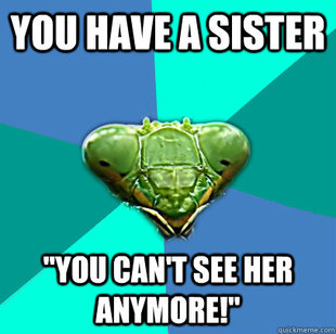 Crazy Girlfriend Praying Mantis