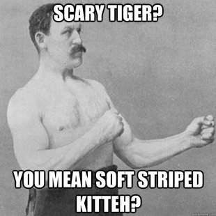 overly manly man