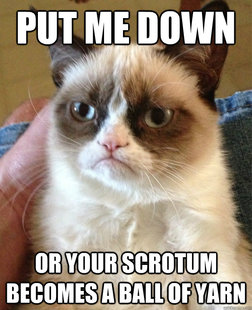 Grumpy cat