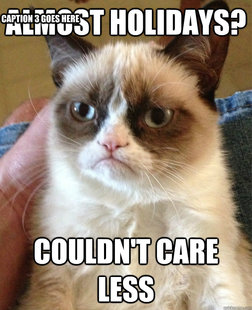 Grumpy cat