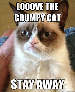 Grumpy cat