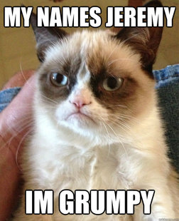 Grumpy cat