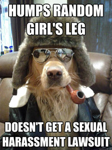 Overly Suave Dog