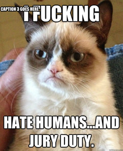 Grumpy cat