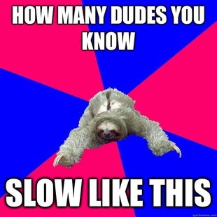 Math Major Sloth