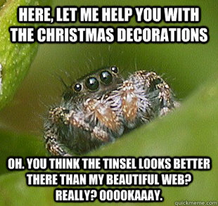 Misunderstood Spider