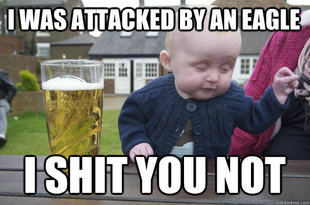 drunk baby
