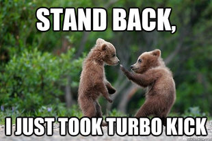 Karate Bear