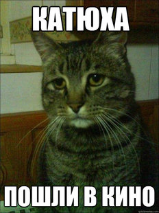 Depressed cat
