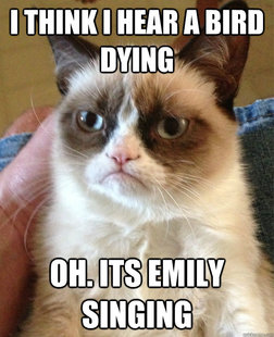 Grumpy Cat