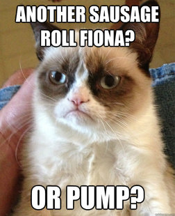 Grumpy Cat