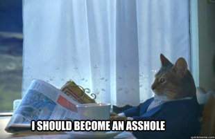 Sophisticated Cat is broke