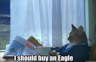 Sophisticated Cat is broke