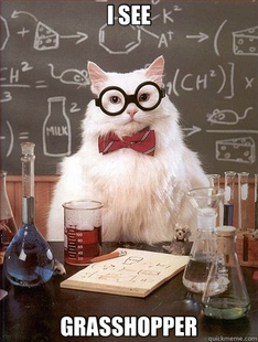 Chemistry Cat