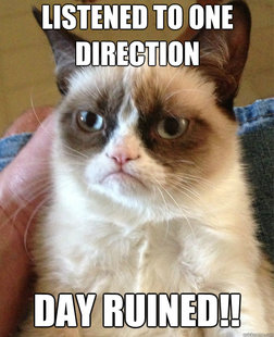 Grumpy Cat