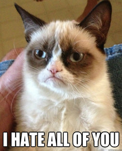 Grumpy Cat