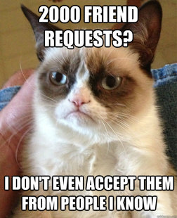 Grumpy Cat