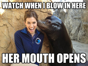 Crazy Secret