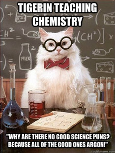 Chemistry Cat