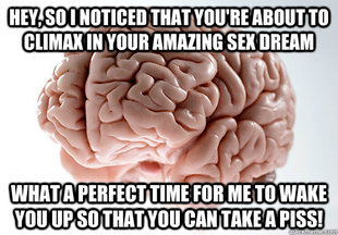 Scumbag Brain