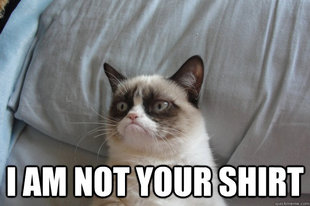 GrumpyCatOL