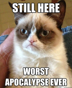 Grumpy Cat