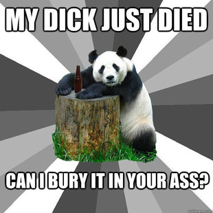 Pickup-Line Panda