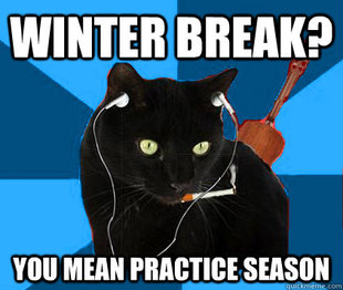 Socially Awkward Berklee Cat
