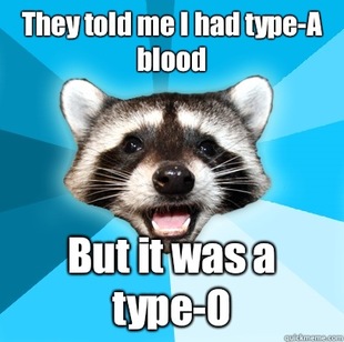 Lame Pun Coon