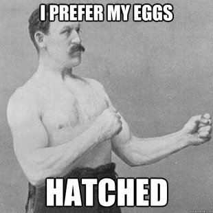 overly manly man