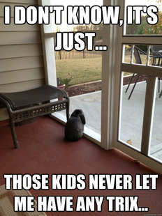 Facing Reality Bunny