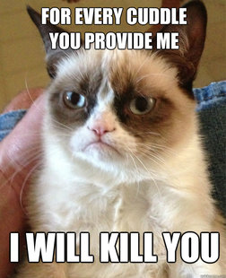 Grumpy Cat