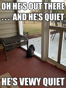 Facing Reality Bunny