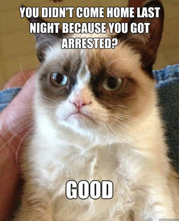 Grumpy Cat