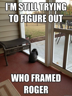 Facing Reality Bunny