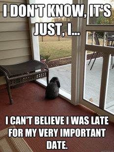 Facing Reality Bunny